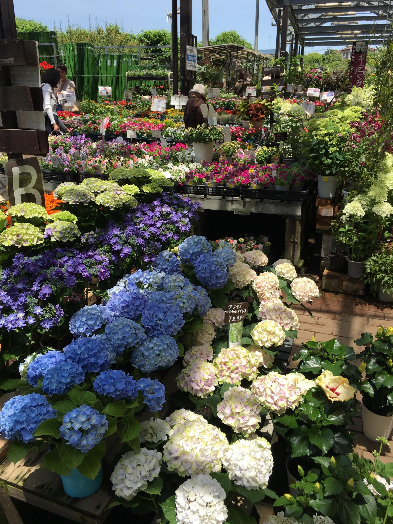 植物写真家愛好家たちの聖地