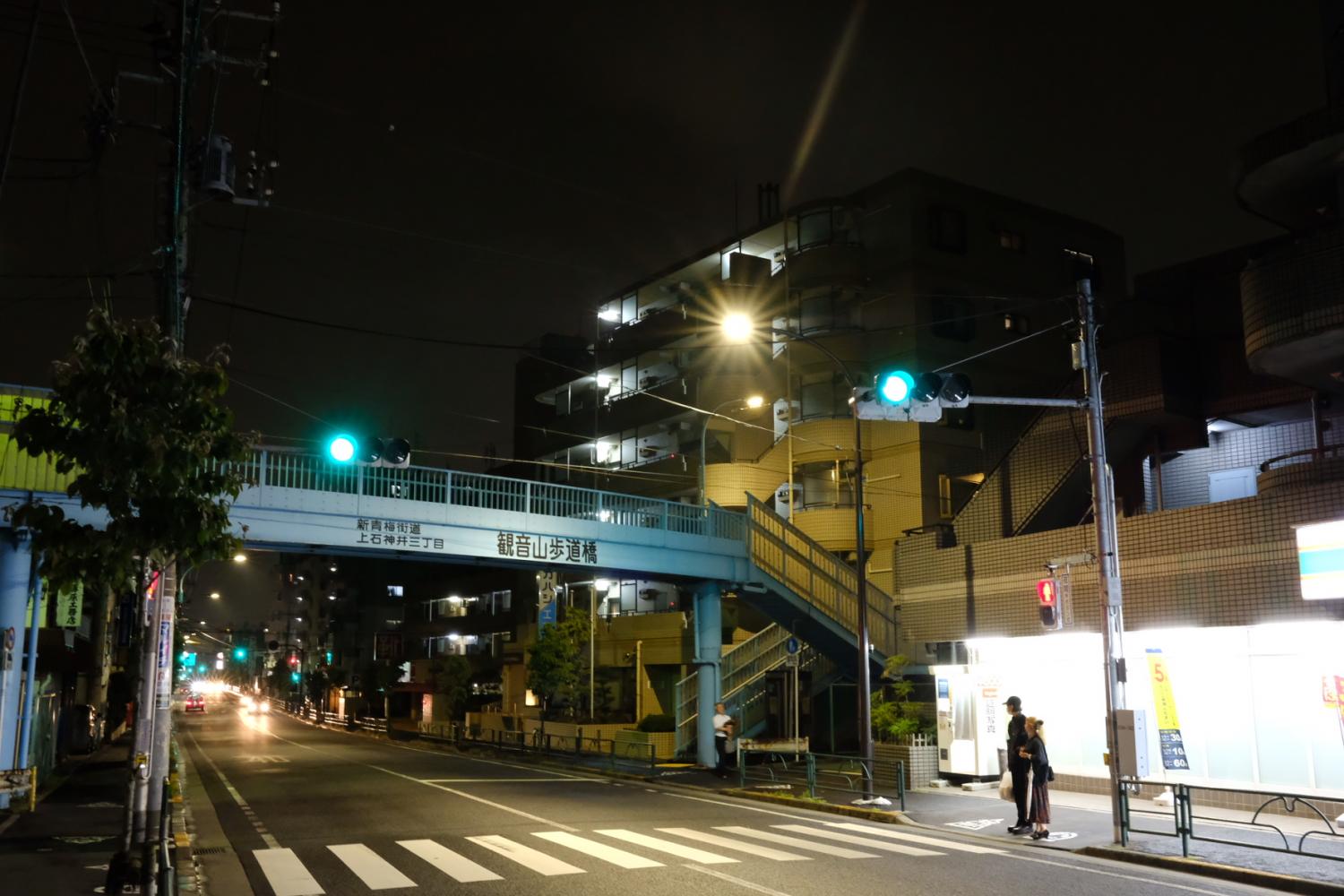 観音山歩道橋 1