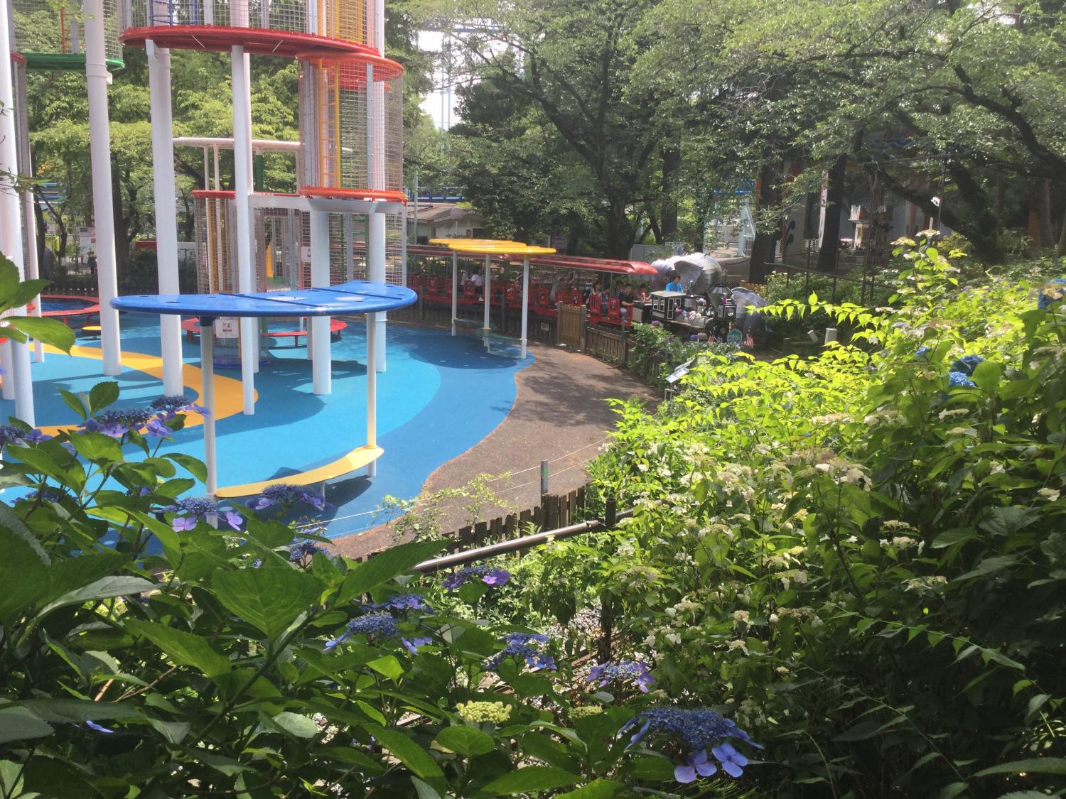 模型列車紫陽花號 珍藏的練馬照相館 珍藏的練馬 模型列車紫陽花號 珍藏的練馬照相館 珍藏的練馬