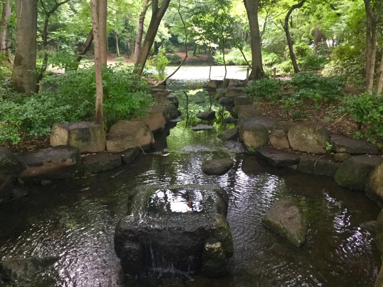 静寂の中の記念庭園 1