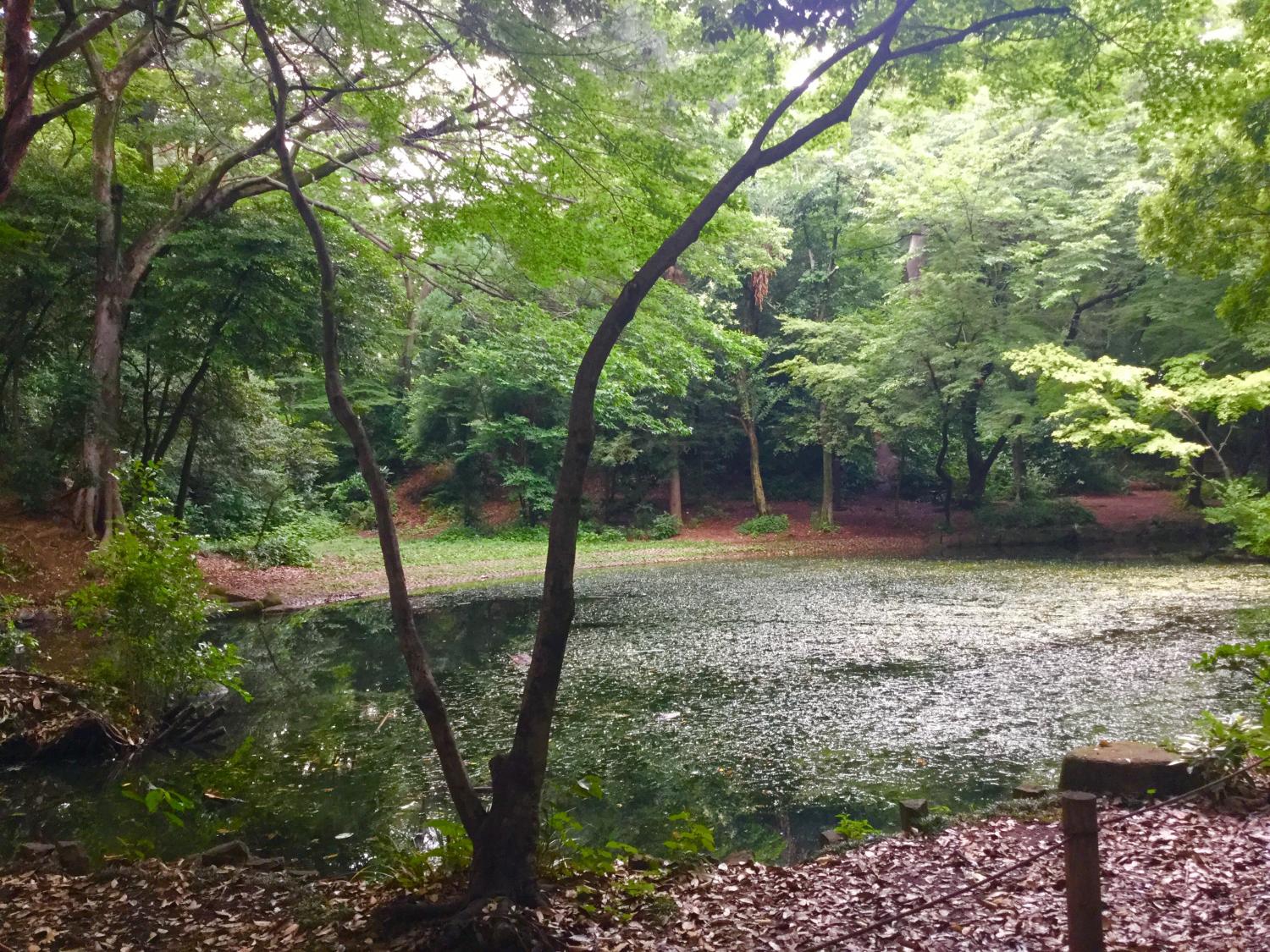 静寂の中の記念庭園 2