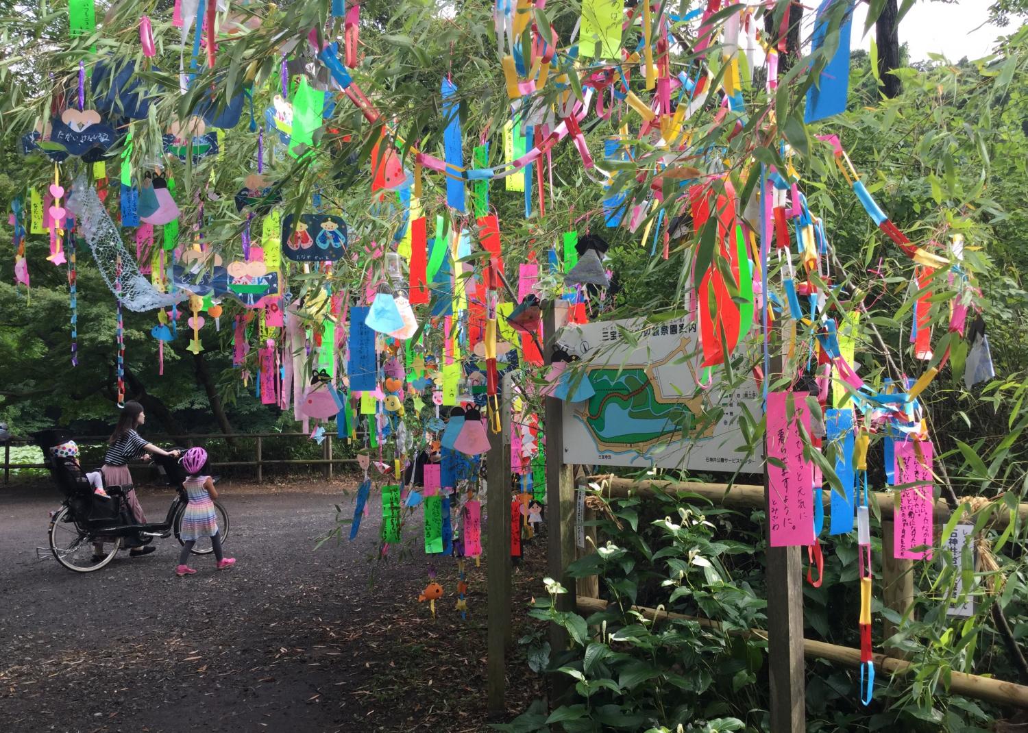 石神井公園 七夕祭り