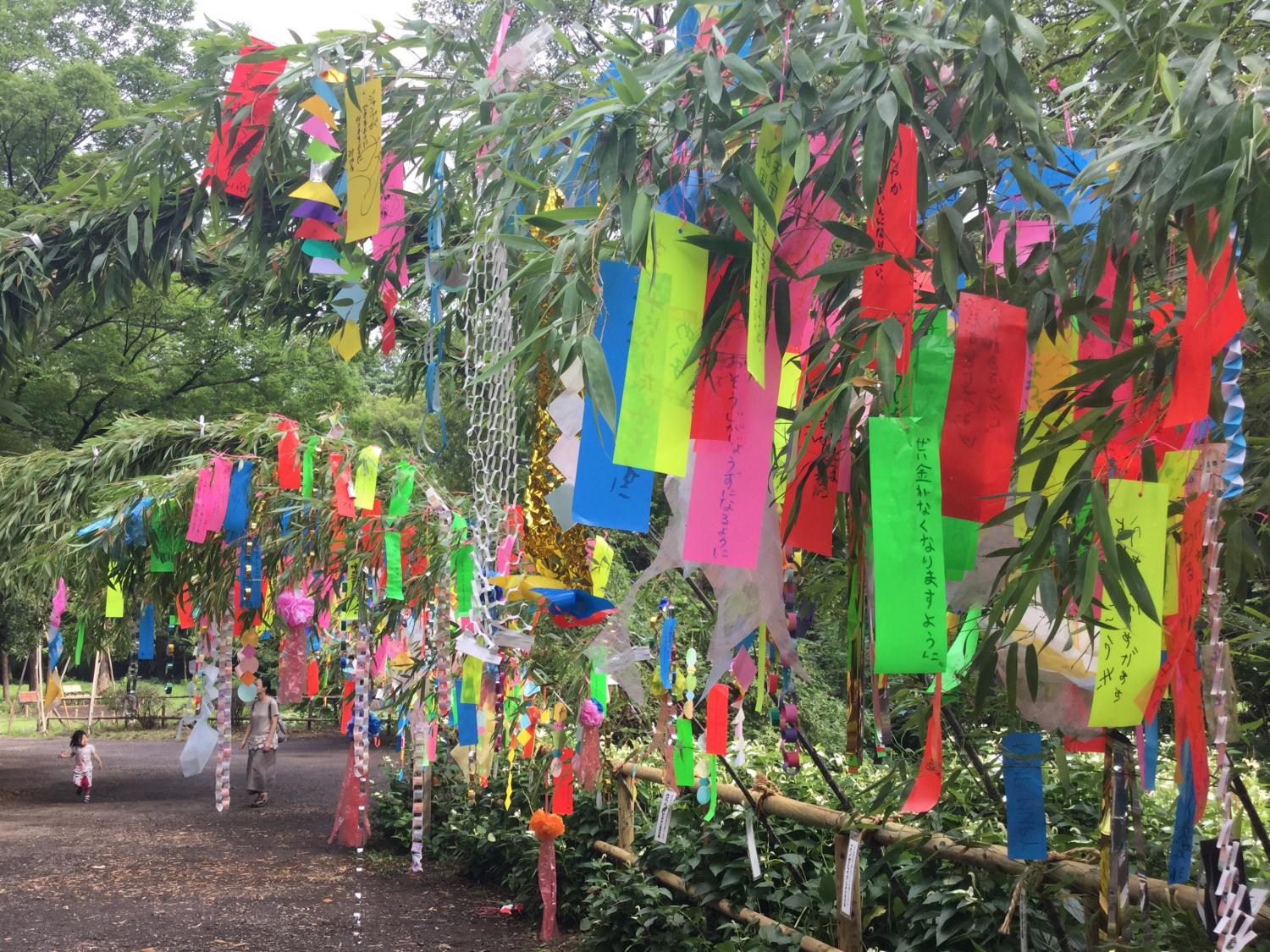 石神井公園 七夕祭り 3
