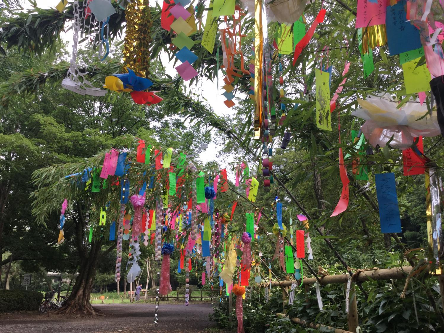 石神井公園 七夕祭り 4