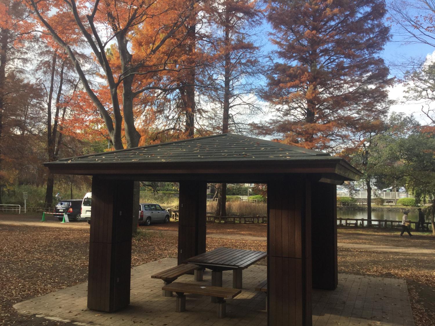 石神井公園  大好き 3