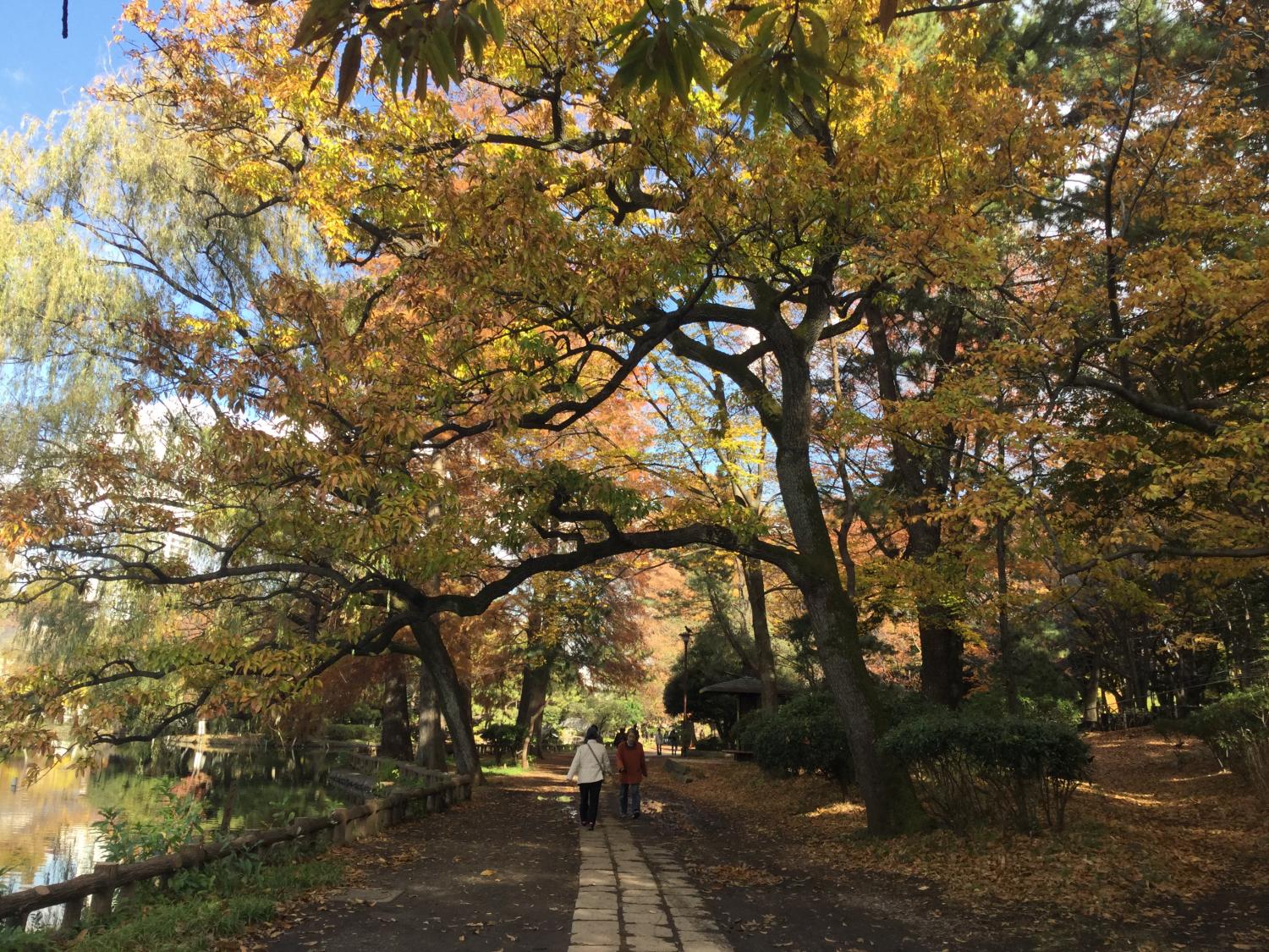 石神井公園  大好き 4