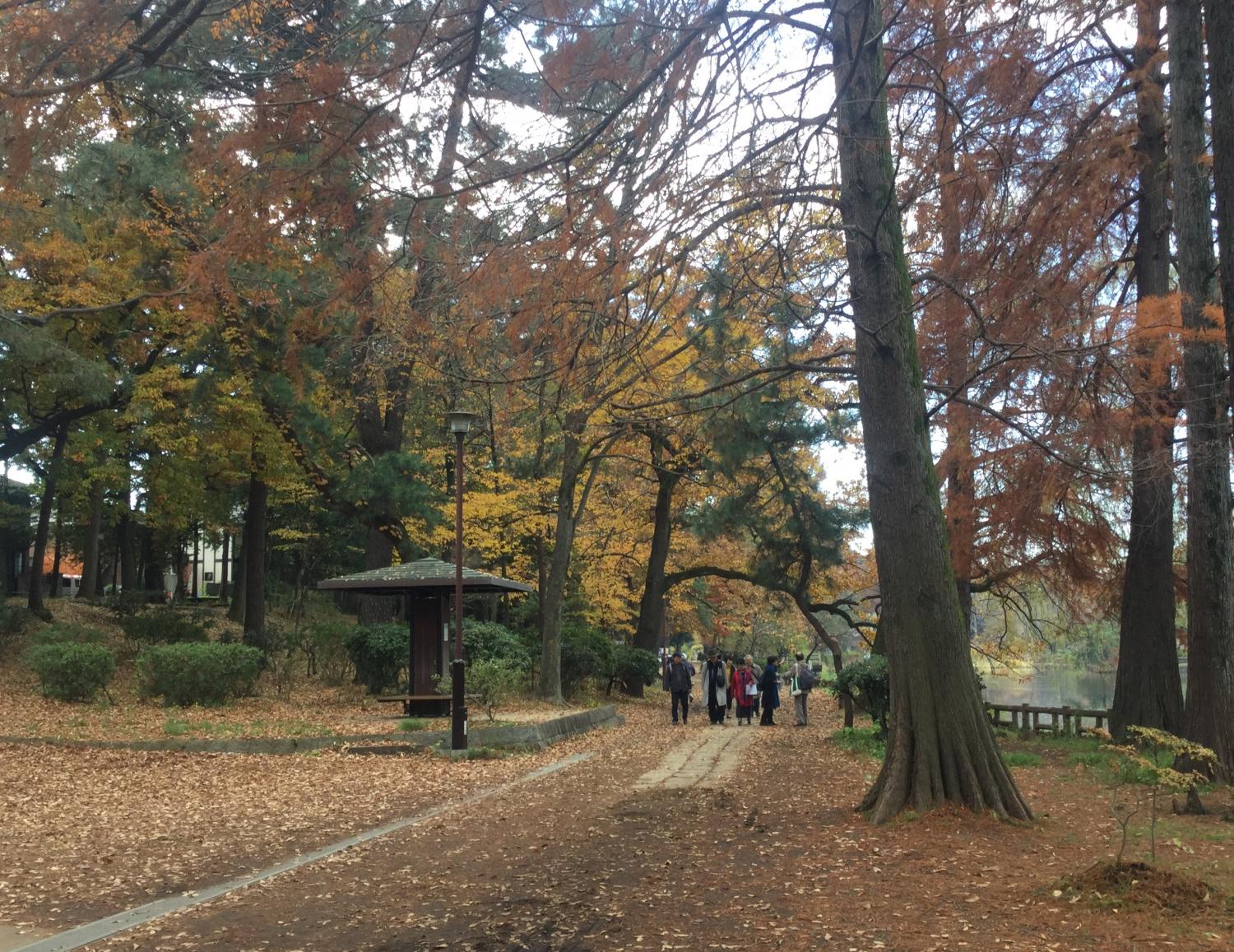紅葉狩りを楽しむ 人々 1