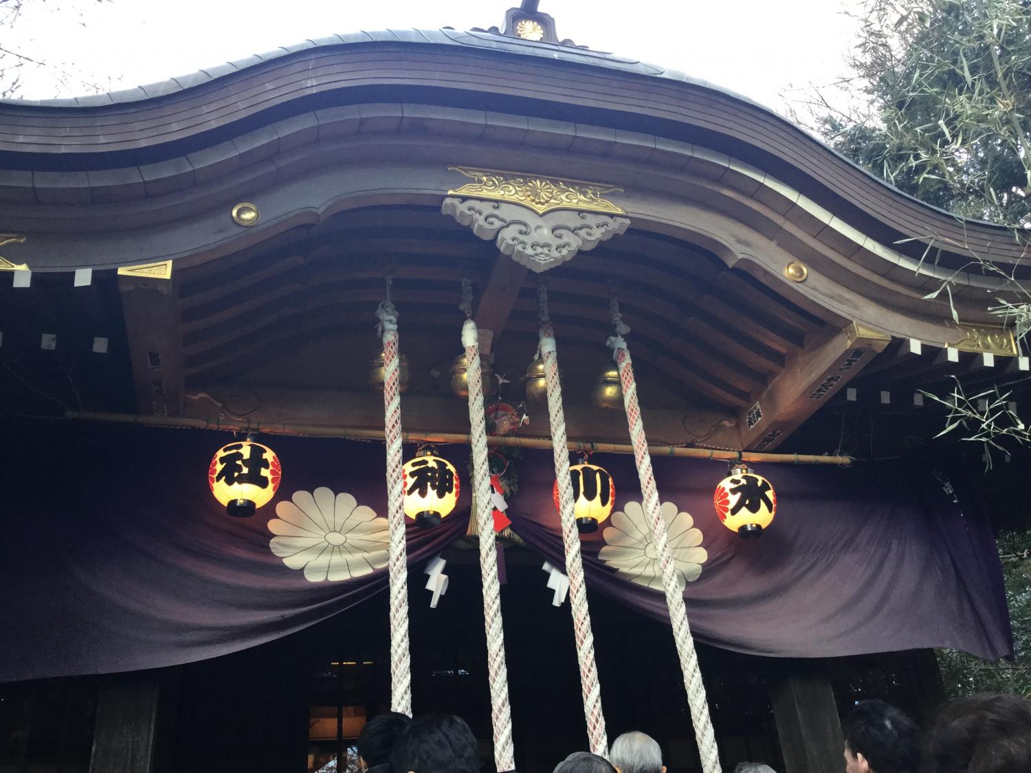 おみくじ 悲喜こもごも 3
