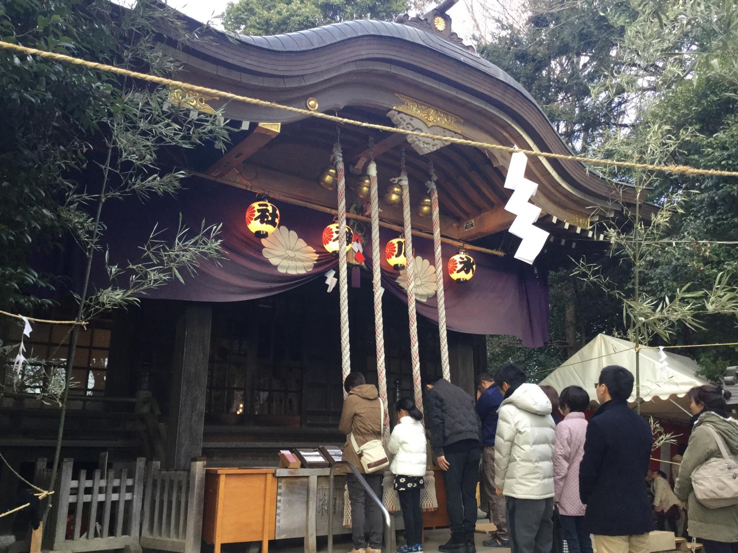 ２０１８年の幕開け 1