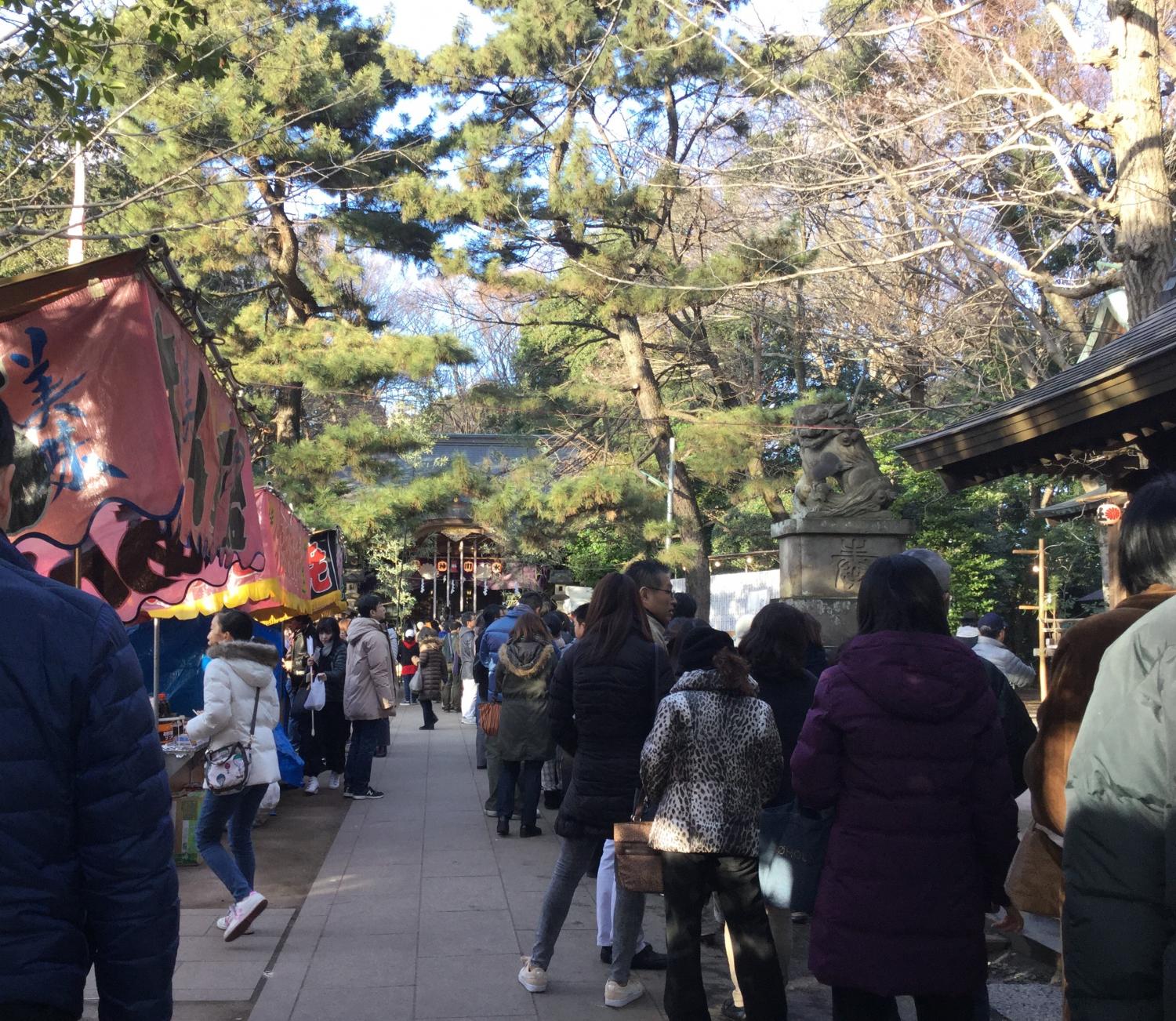 ２０１８年の幕開け 2