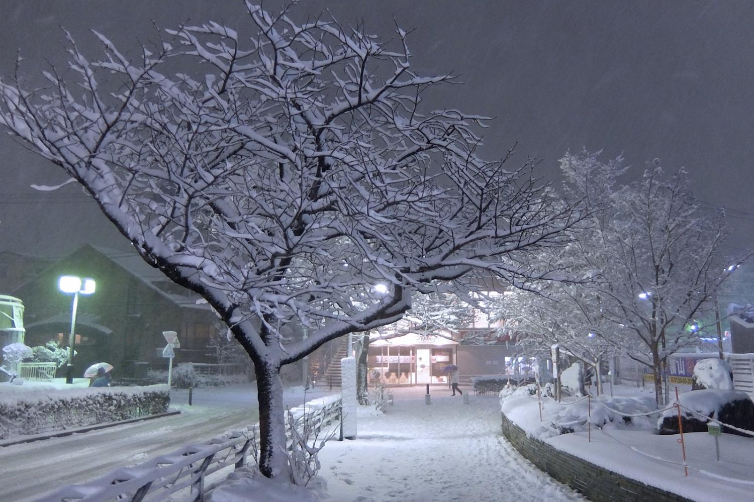 大雪の夜、練馬高野台駅前にて 1