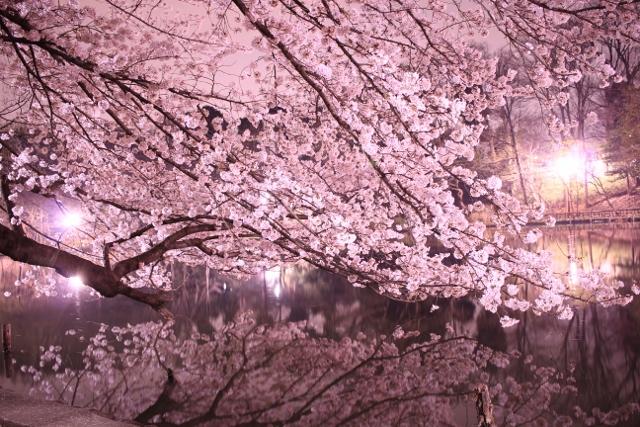 妖しく輝く水鏡