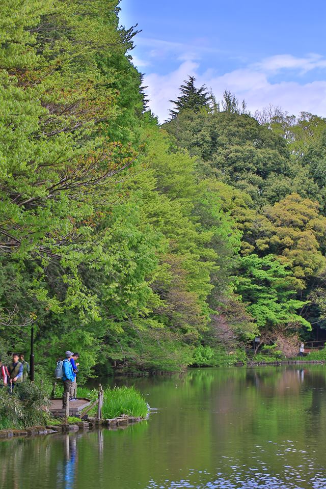 石神井公園3寶貝寺池塘 珍藏的練馬照相館 珍藏的練馬