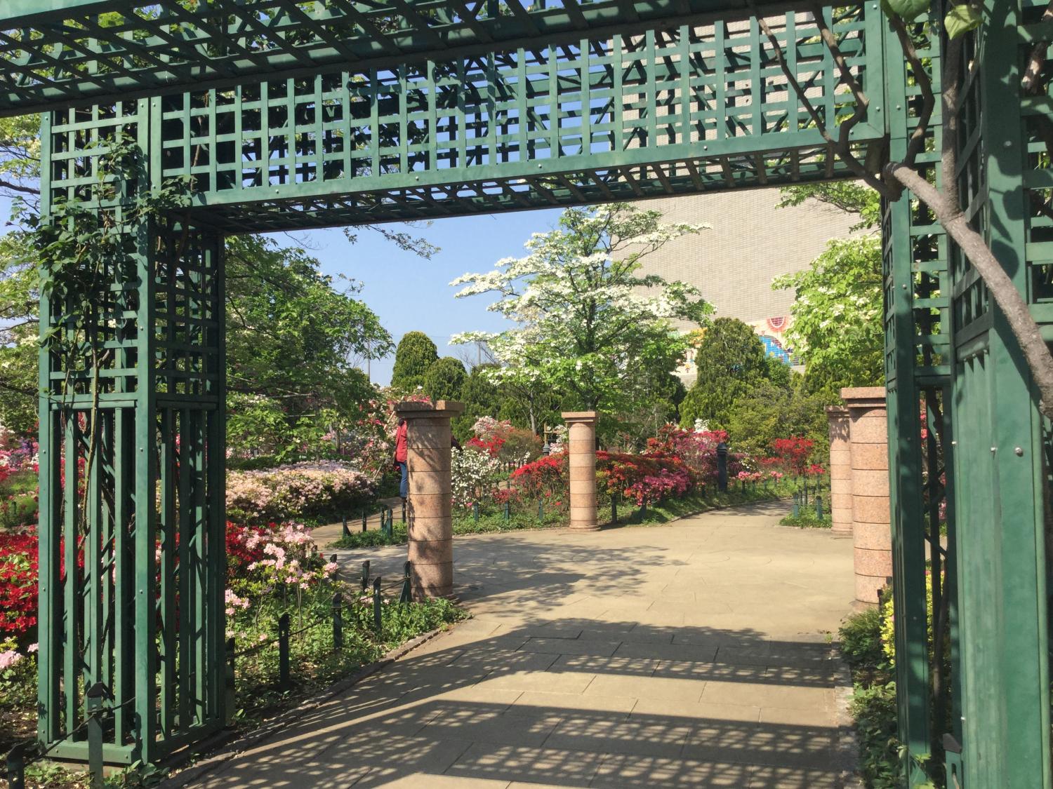 平成つつじ公園ありがとう！！ 2