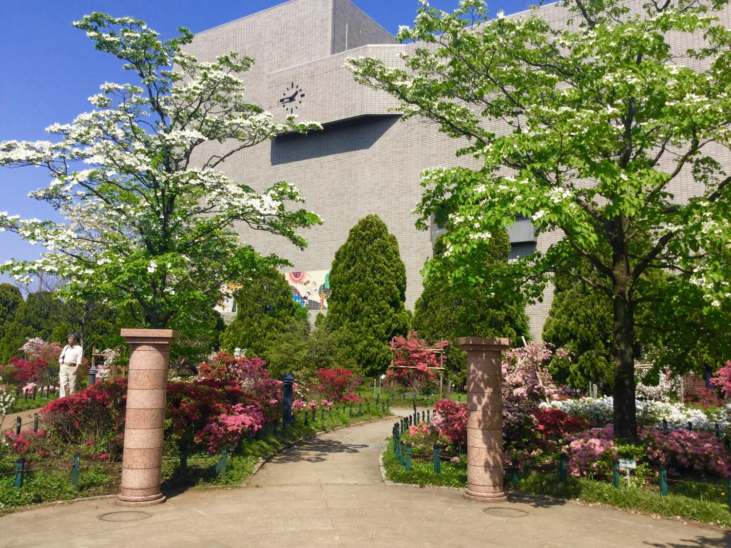 平成つつじ公園ありがとう！！ 4