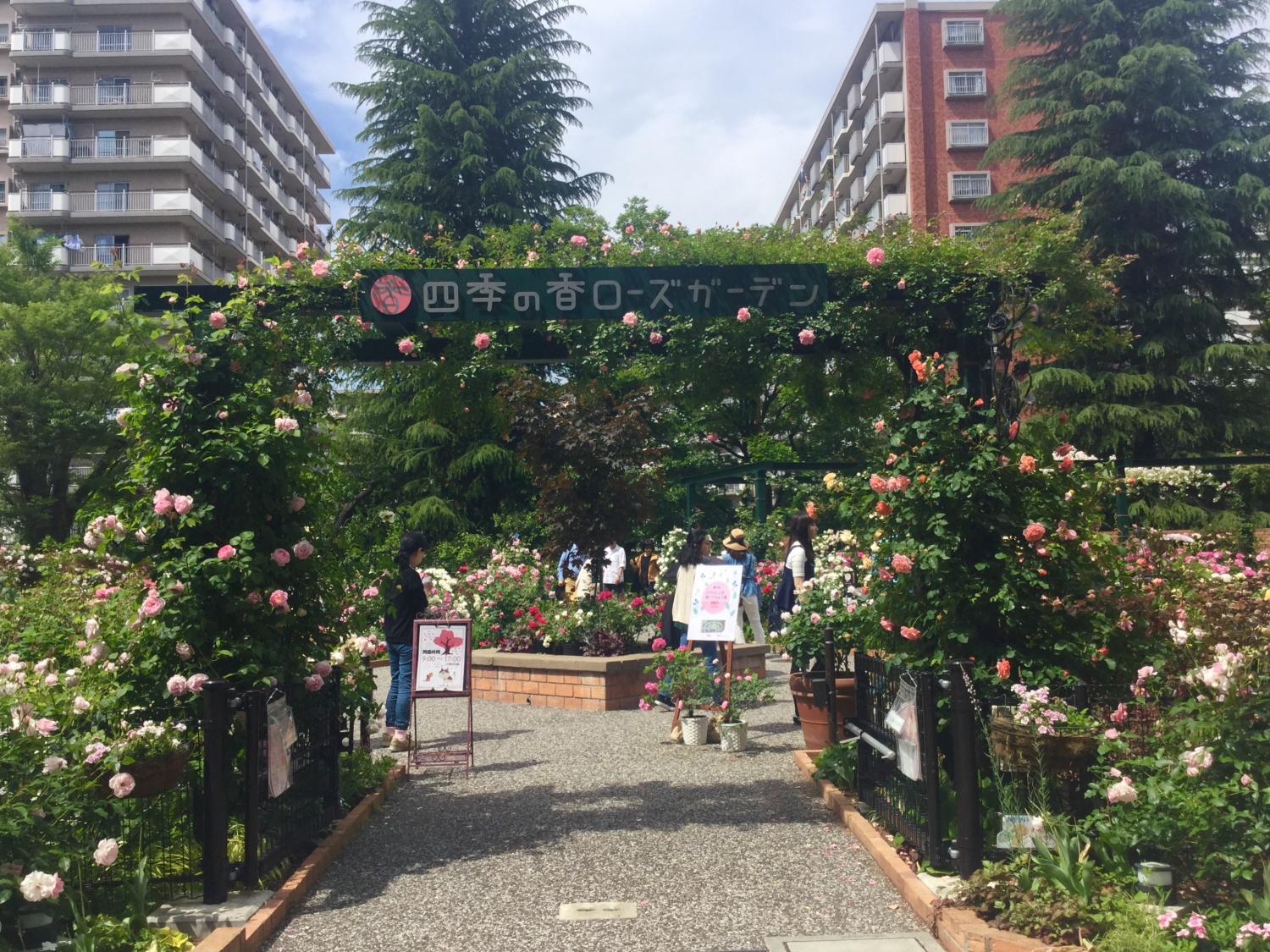バラの香りのお庭 1