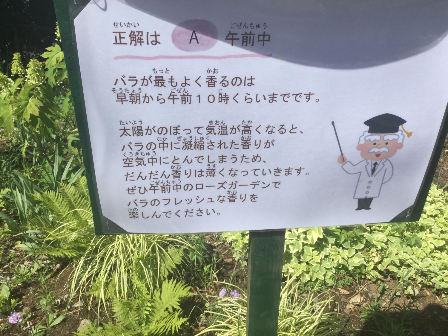 香りいろいろ  4