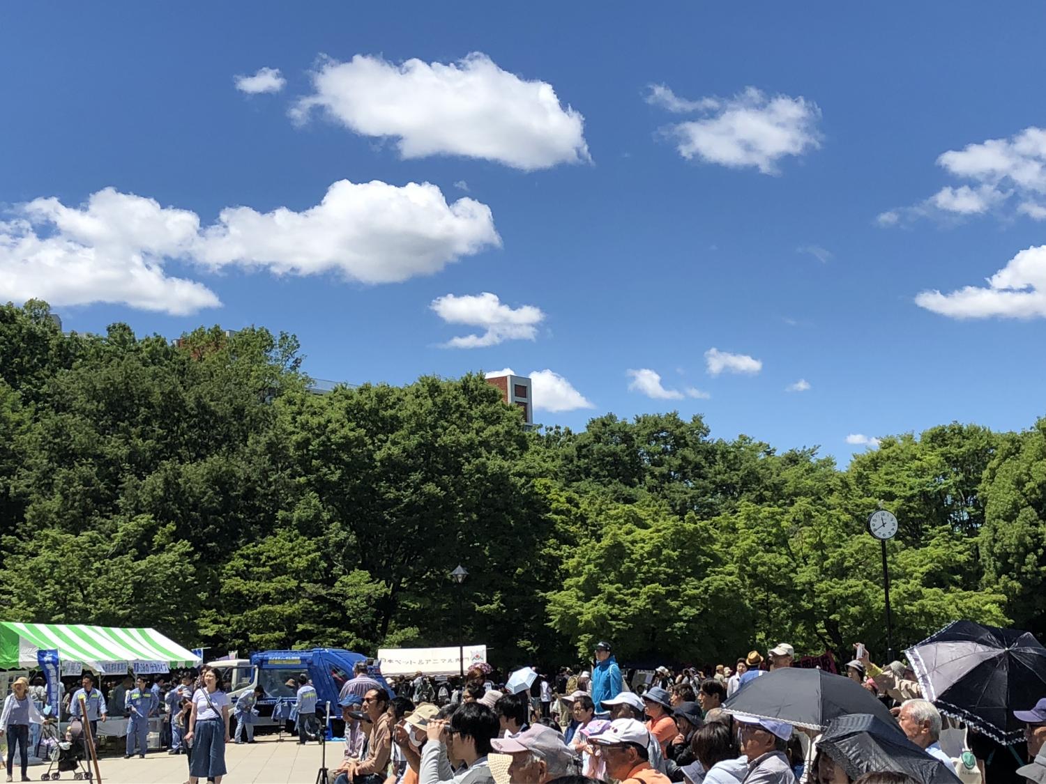 気持ちよく晴れた空 2