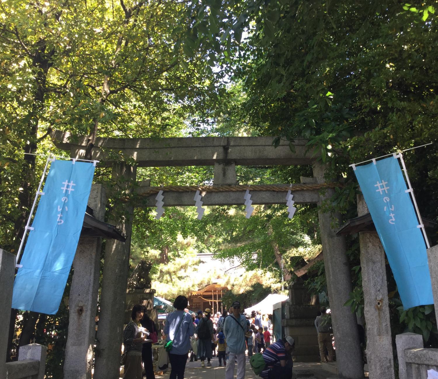 恒例の井のいち 1