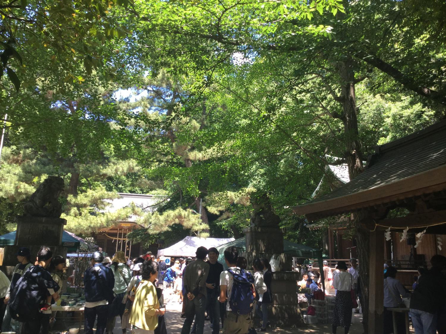 恒例の井のいち 2