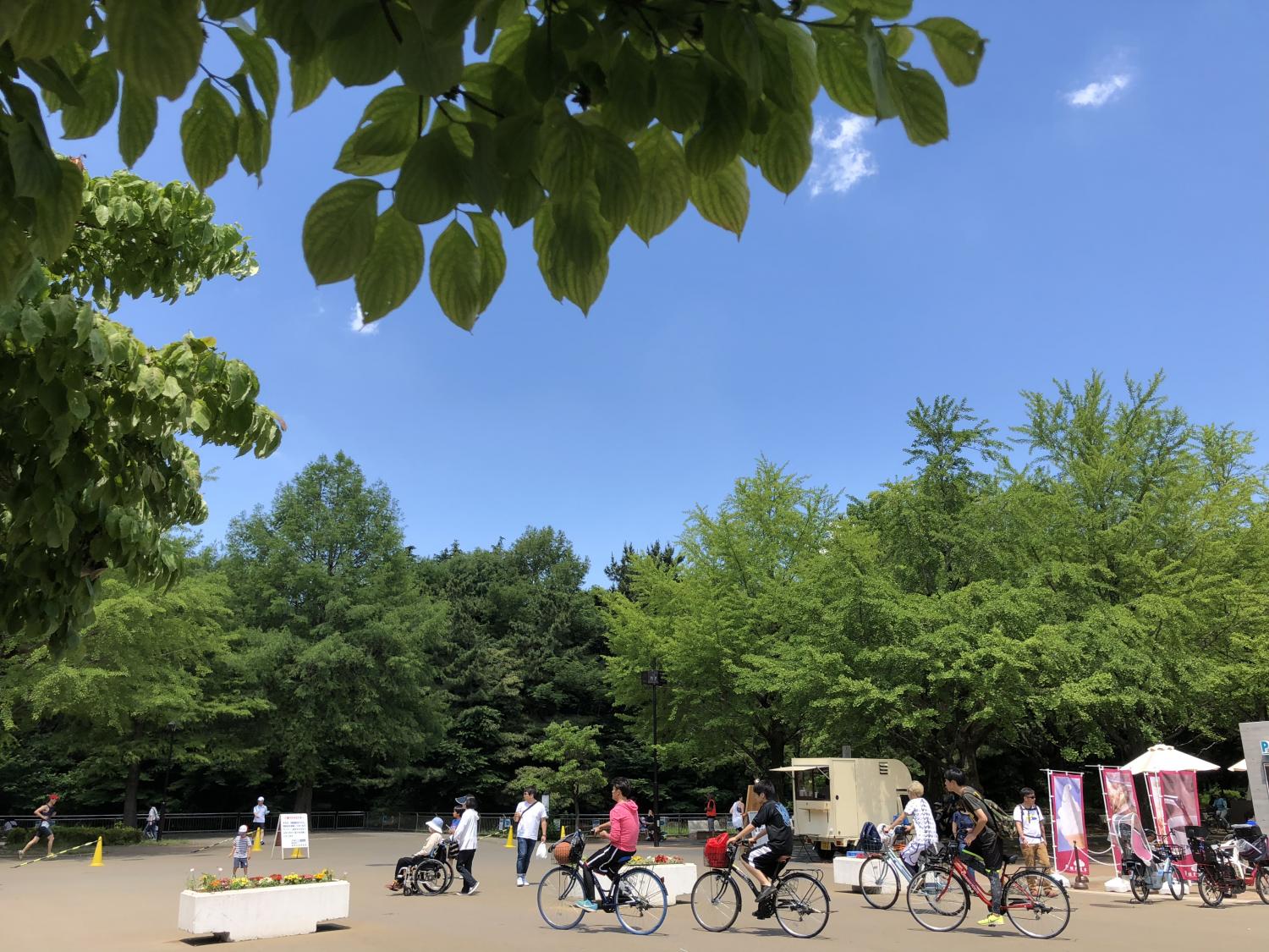 夏の足音 2