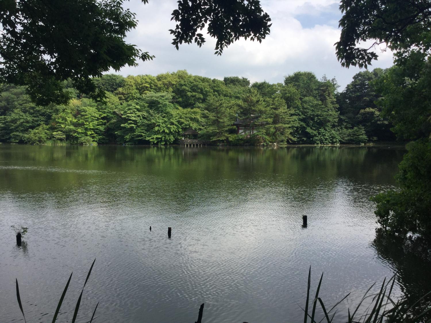 のどかなある日の三宝寺池 3