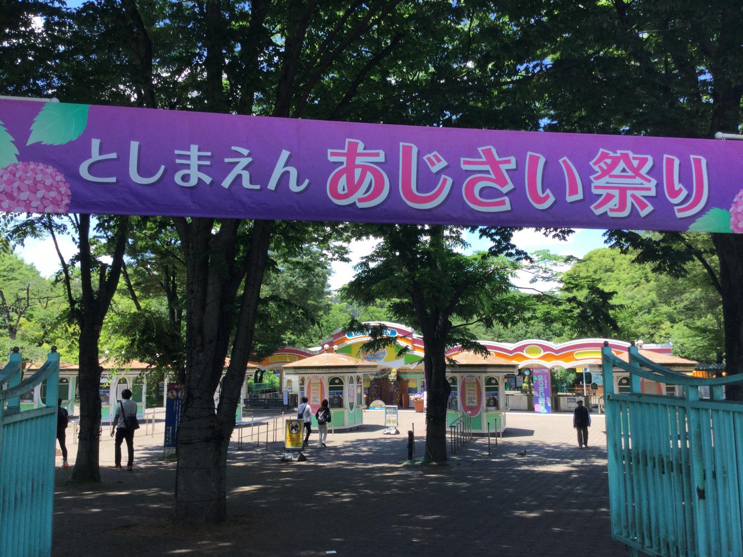 としまえん あじさい祭り 2