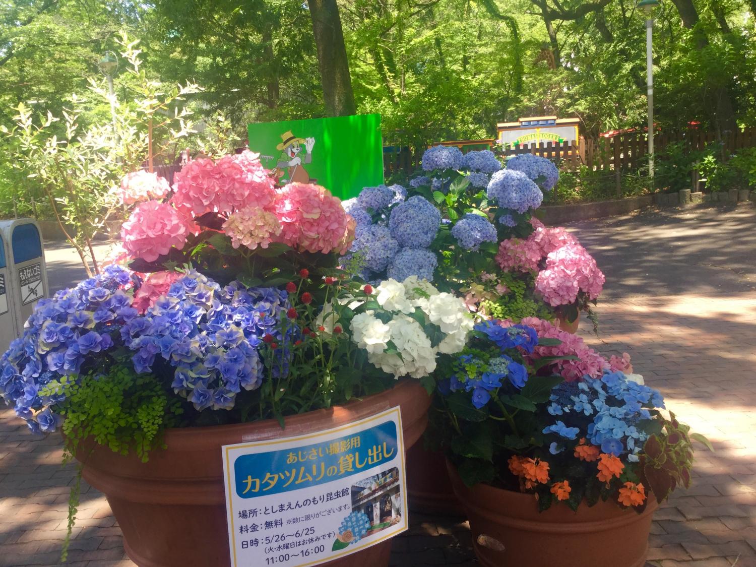 カタツムリの貸し出し 1
