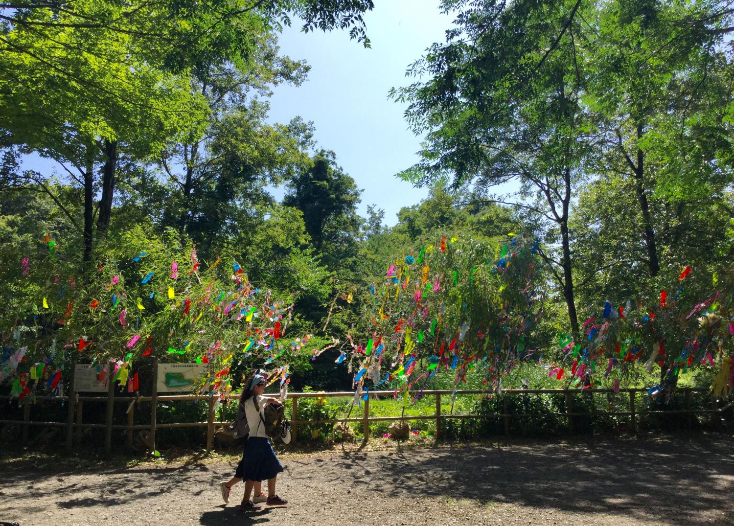 三宝寺池の七夕かざり 2