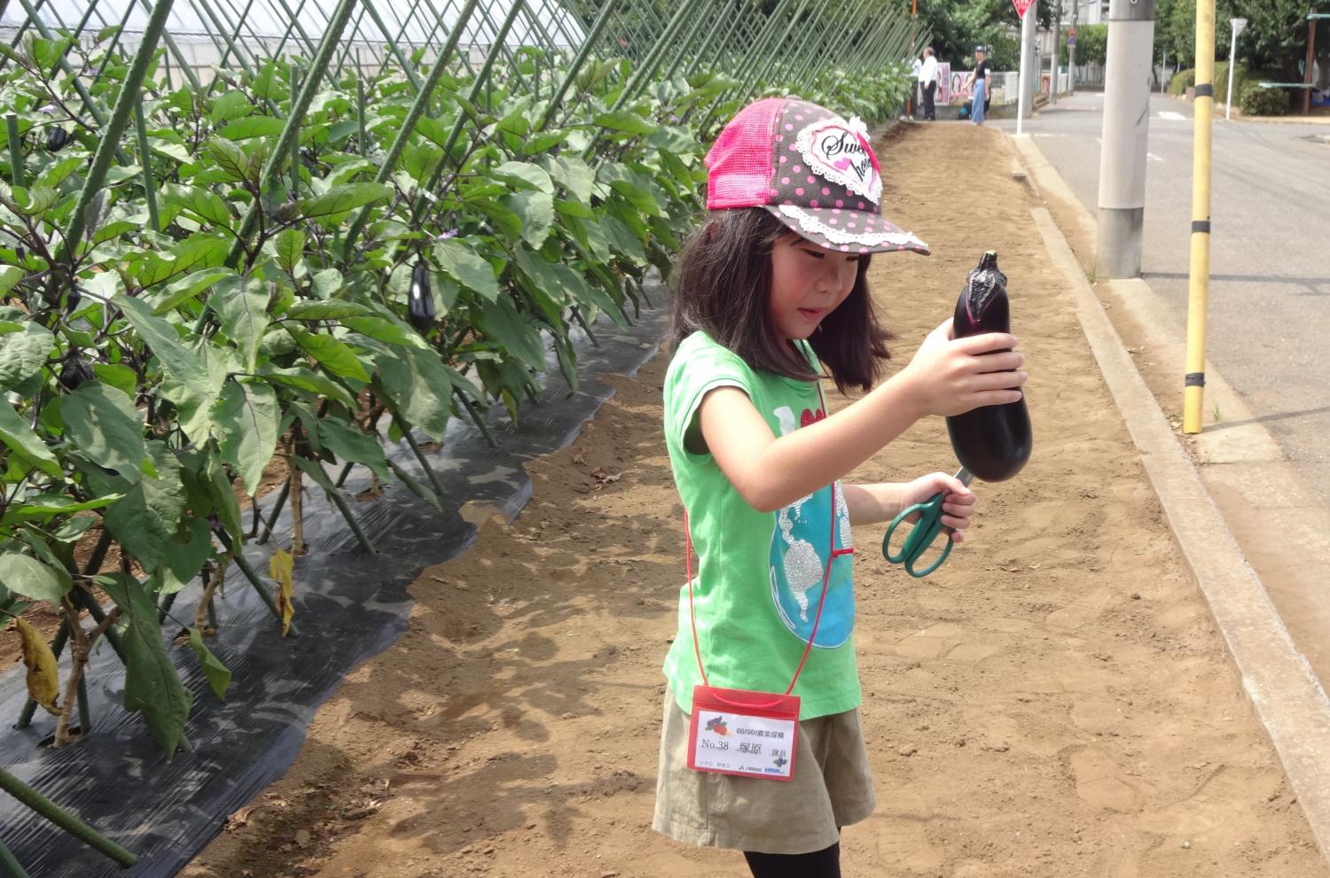 GO!GO!農業探検隊!!野菜収穫編 4