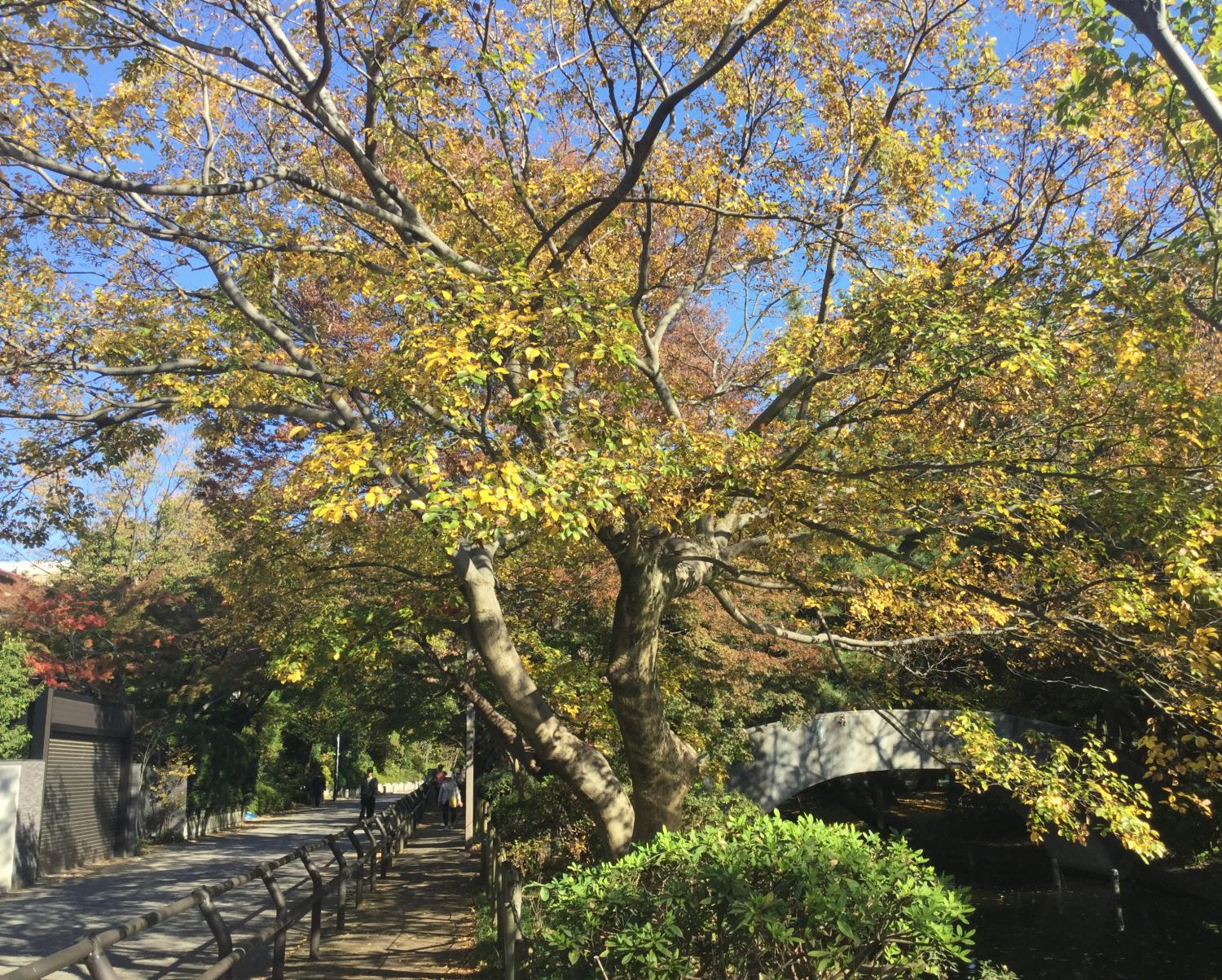 石神井公園 大好き！ 3