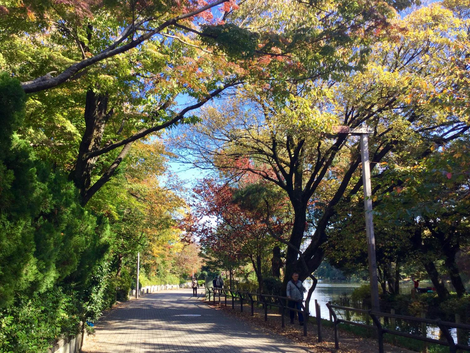 石神井公園 大好き！ 1