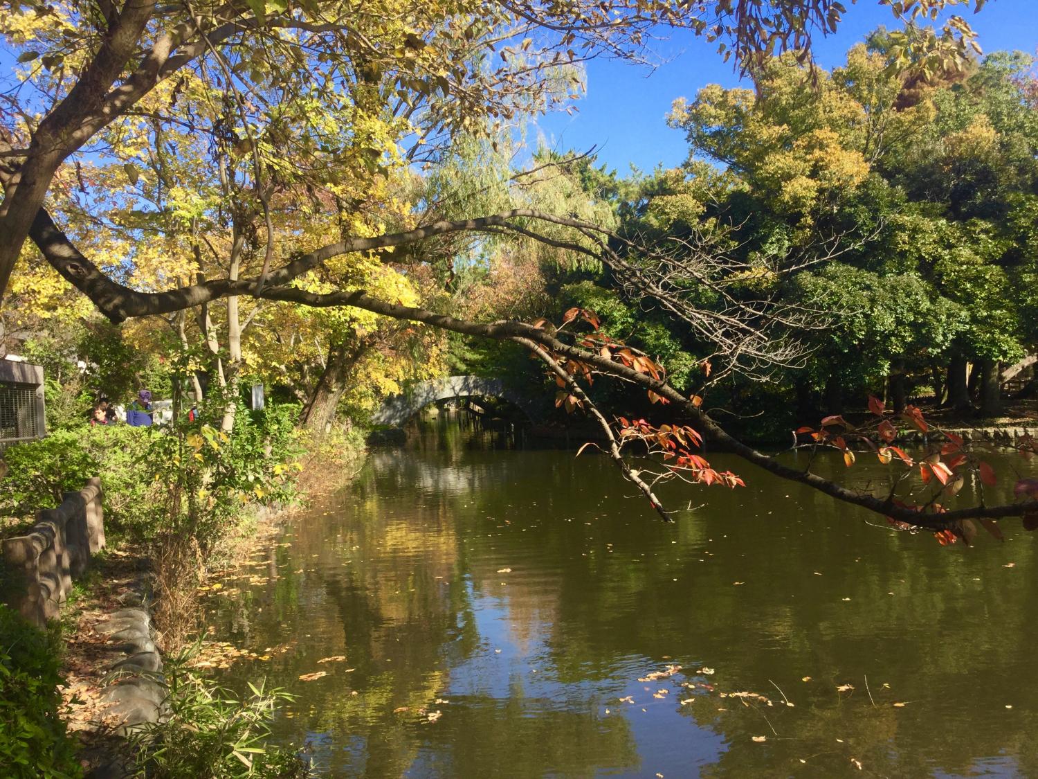 石神井公園 大好き！ 2
