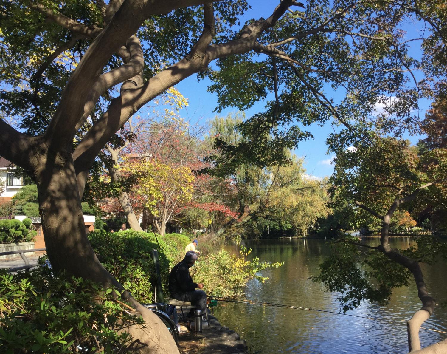 石神井公園 大好き！ 4