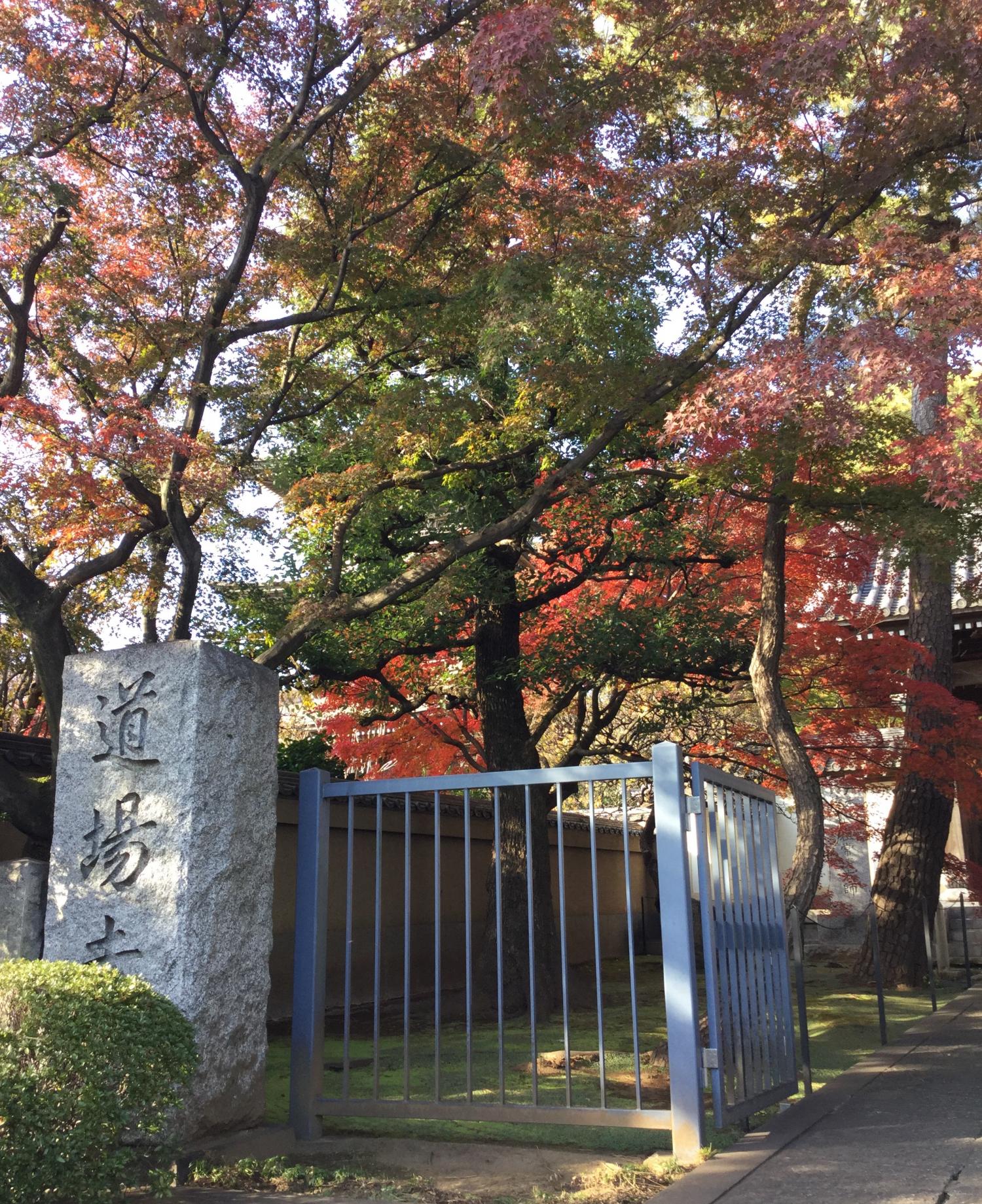 紅葉が綺麗！ 2