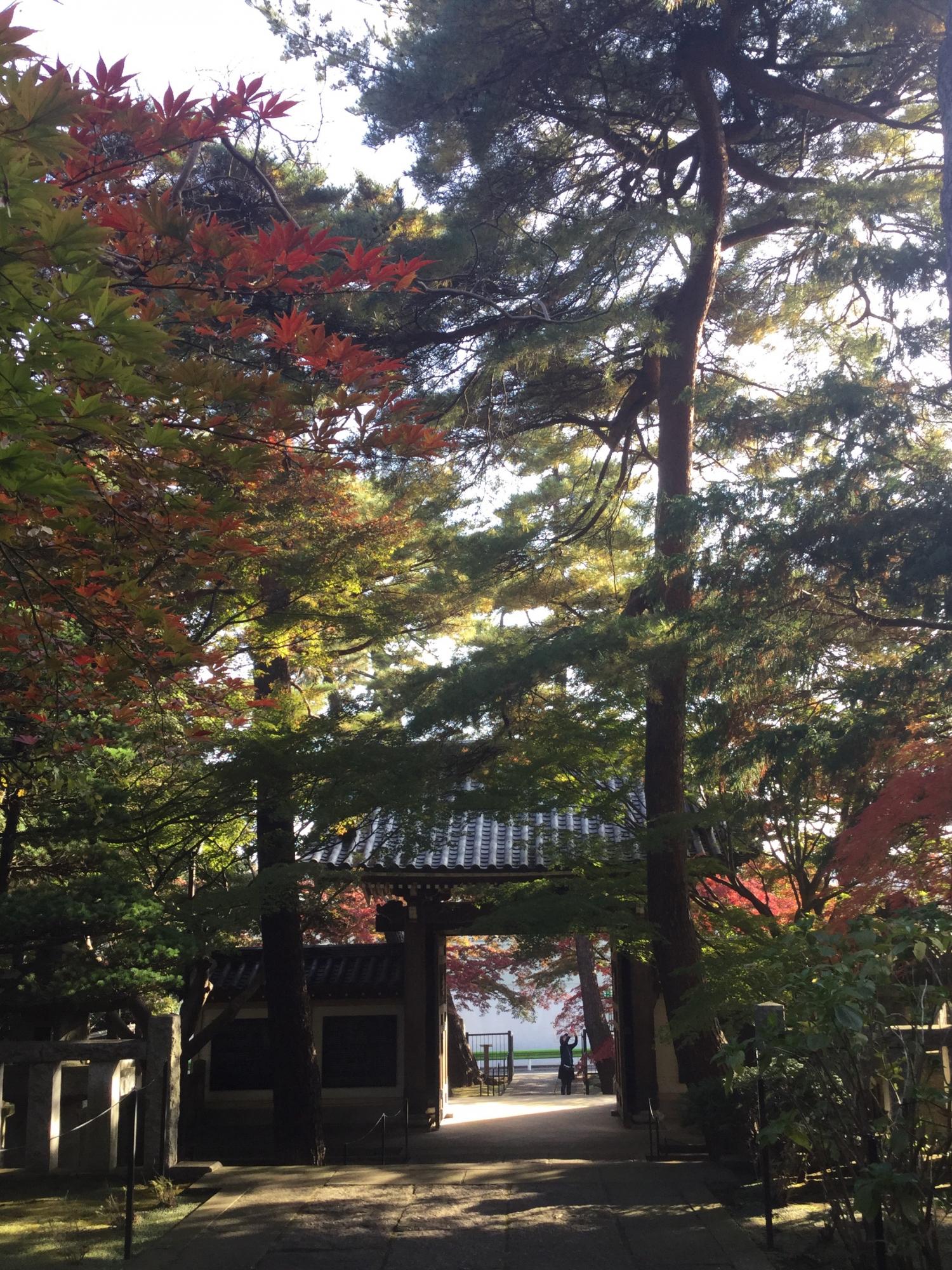 紅葉が綺麗！ 3