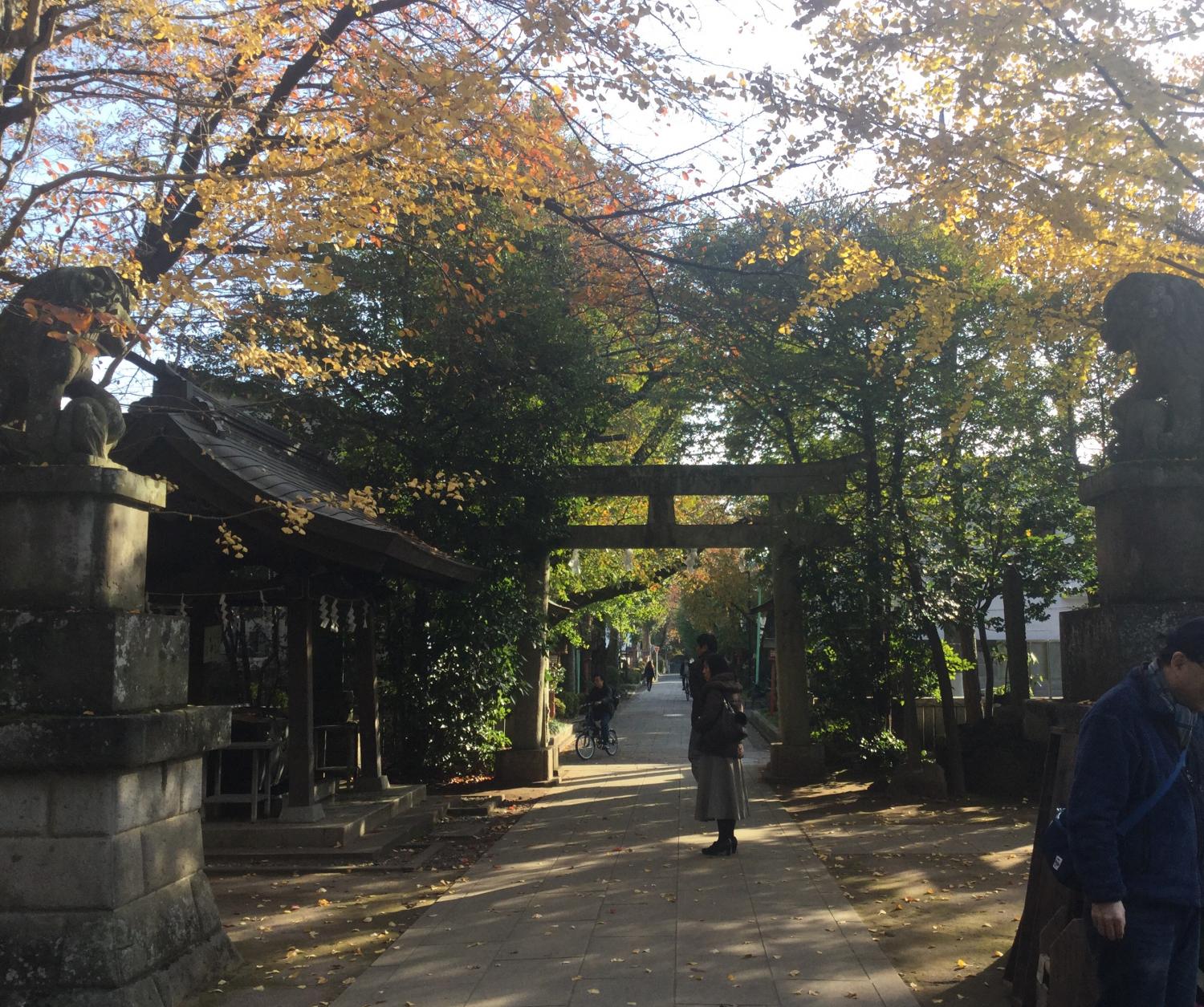 骨董市が行われていました 4