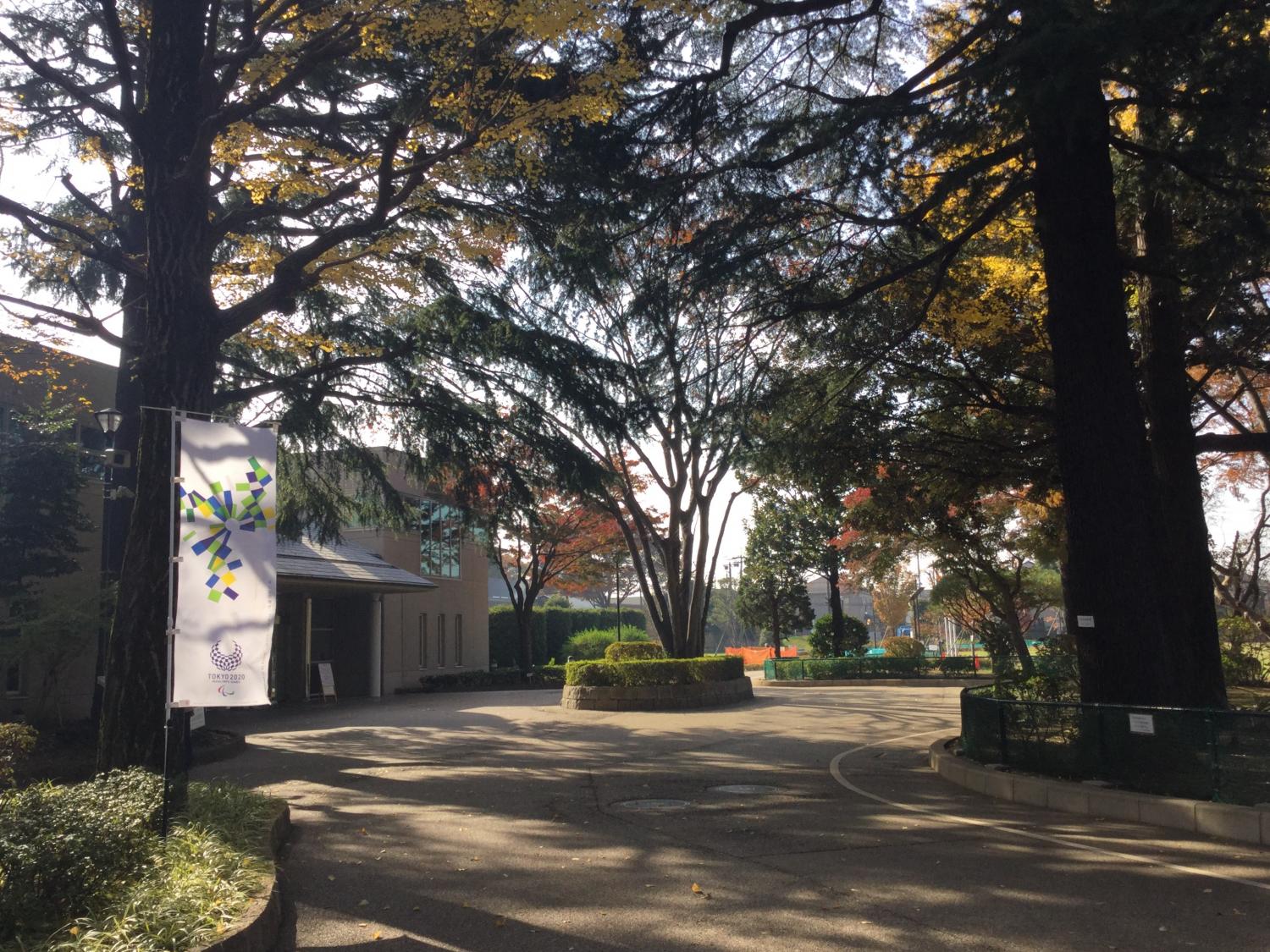 松の風文化公園の紅葉 3