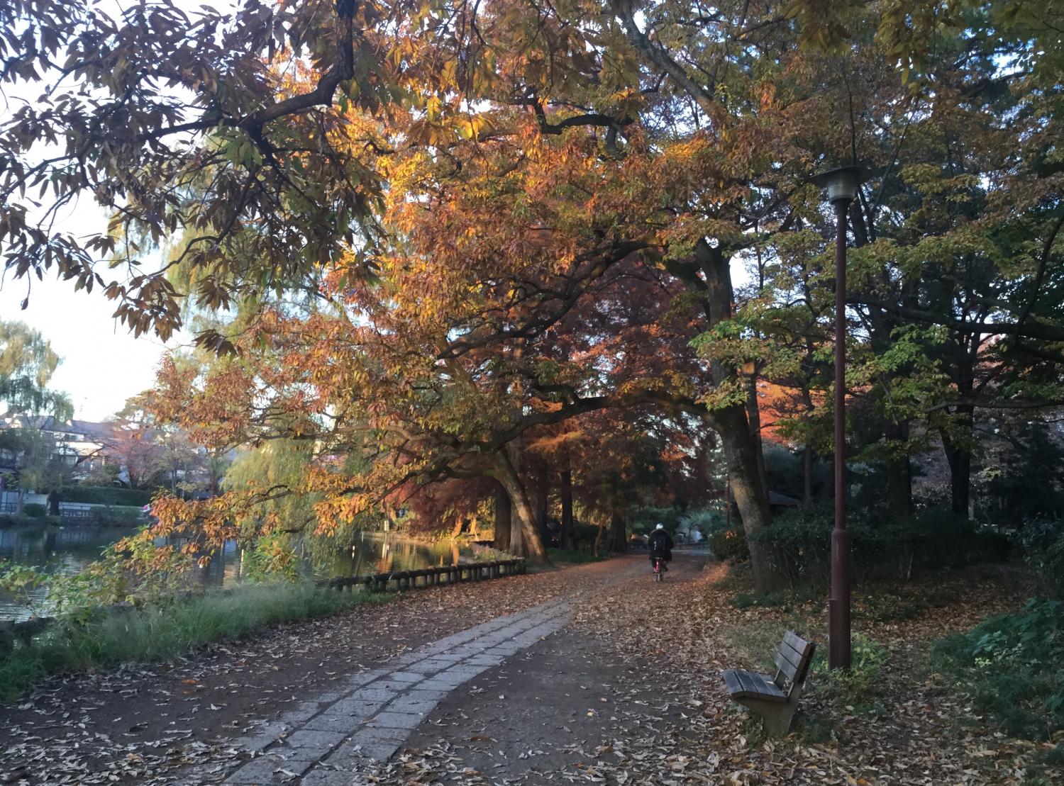 お気に入りのボート池 2