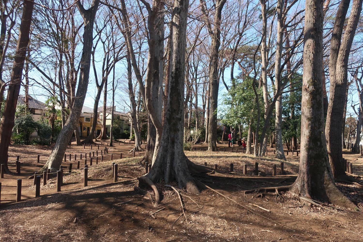 井頭憩いの森（２月）