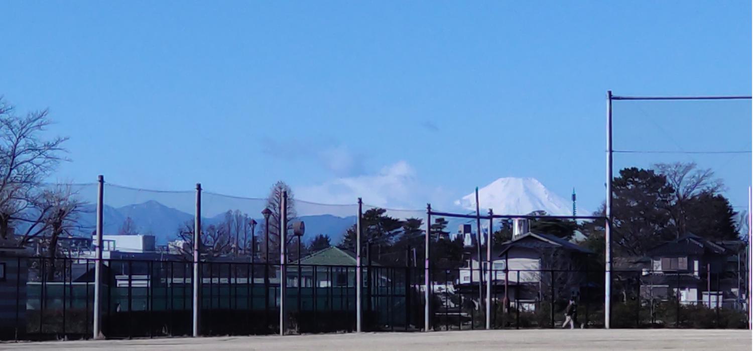 石神井公園（B地区野球場）から見る雪富士 画像