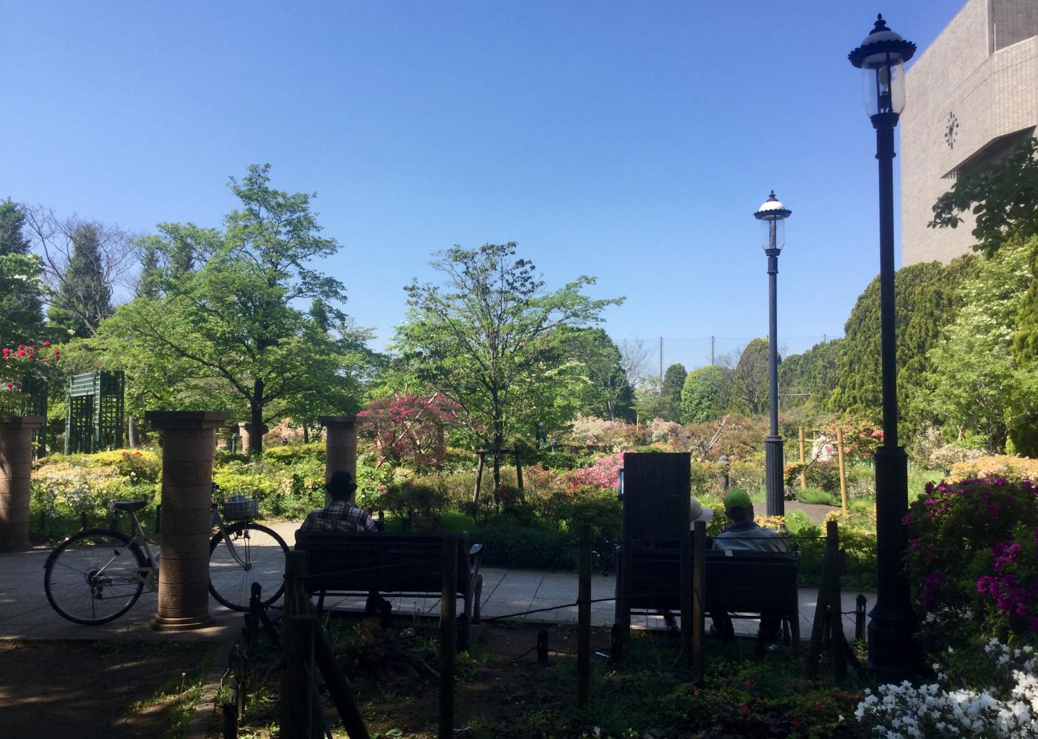 平成つつじ公園のツツジ 3