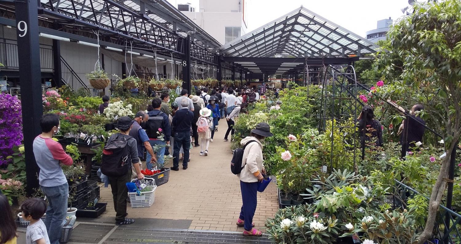 GWの園芸店