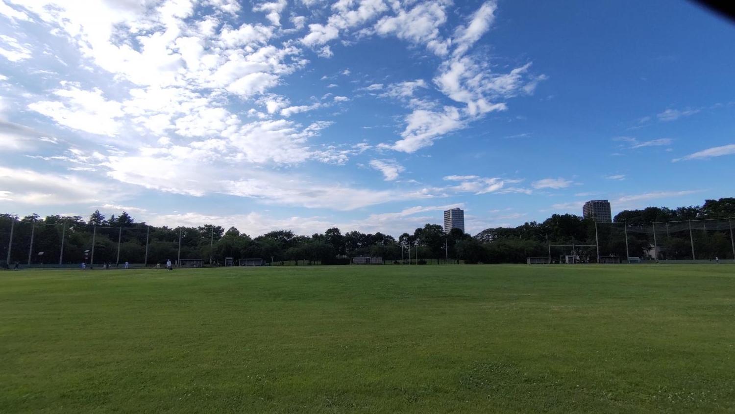 B地区野球場（石神井公園）