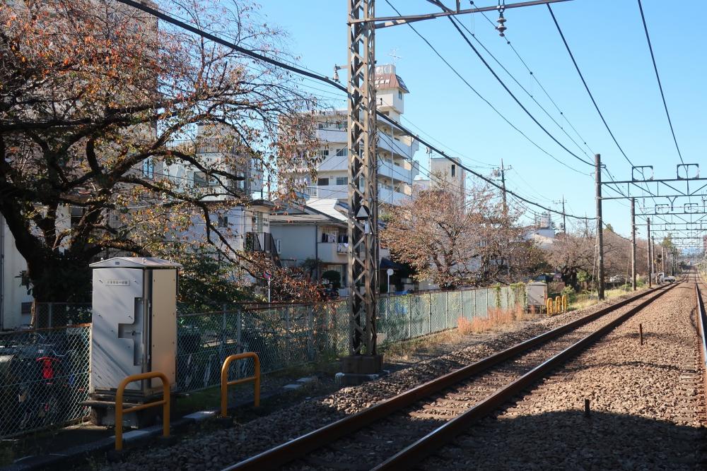 武蔵関・石神井川沿いの桜並木