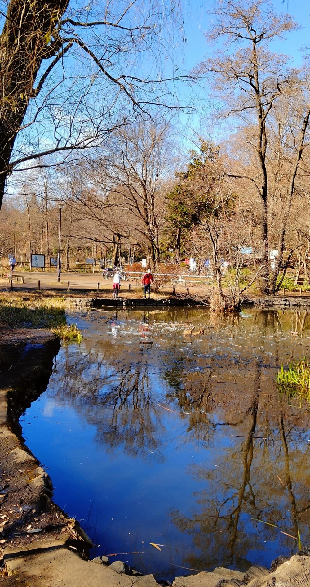 新年4日の三宝寺池