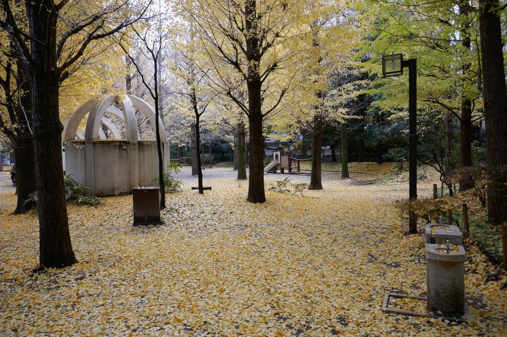 春の風公園 1