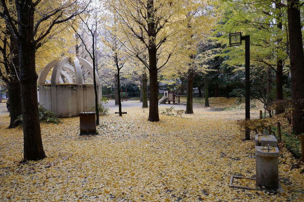 春の風公園