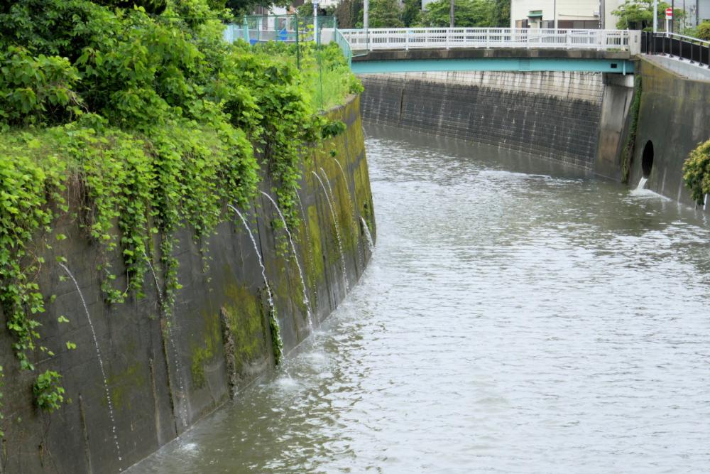 練馬城址公園 川辺の散策ゾーン