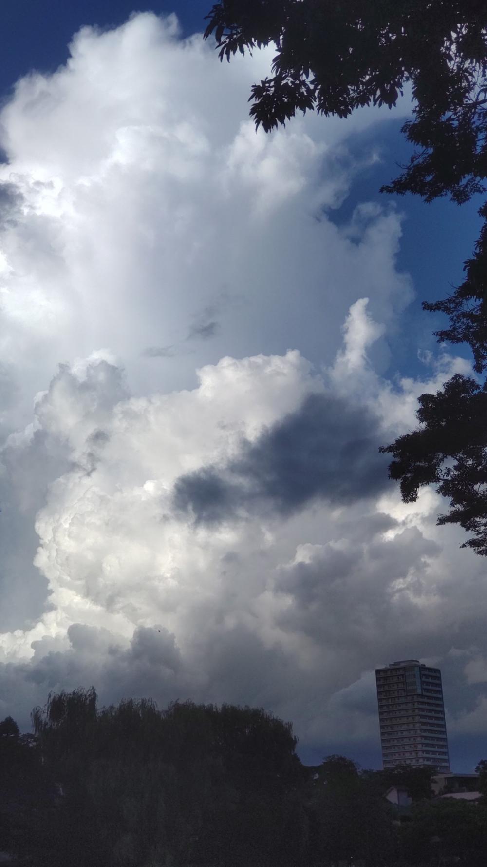 石神井池と雄大積雲 画像